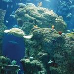 South Carolina Aquarium