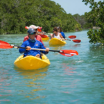 Kayak Tours