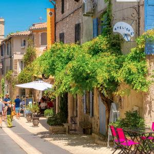 Excursion: Van Gogh and Nostradamus' Legacies Tour (France)