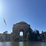 Palace of Fine Arts