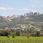Beaumes-de-Venise, Wine Tasting