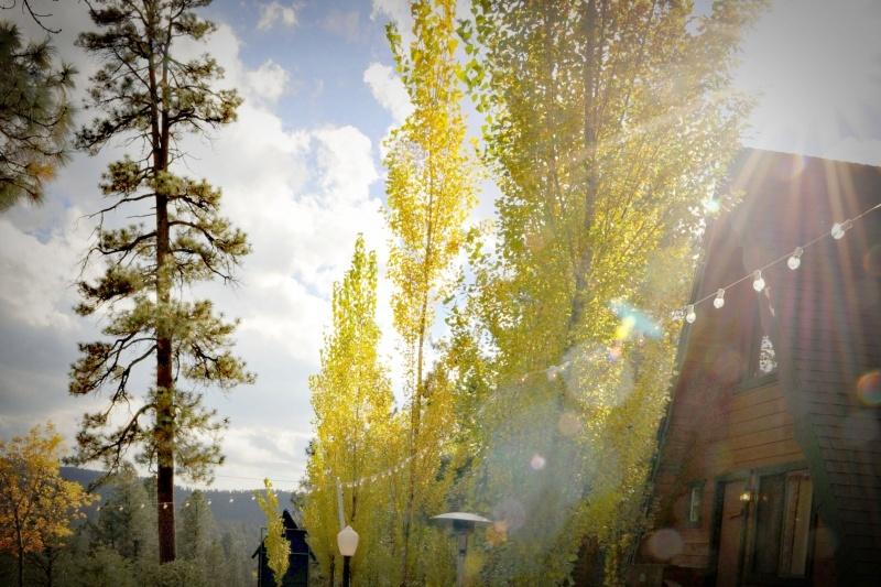 The Wedding Website of Megan Auringer and Trevor Wilson