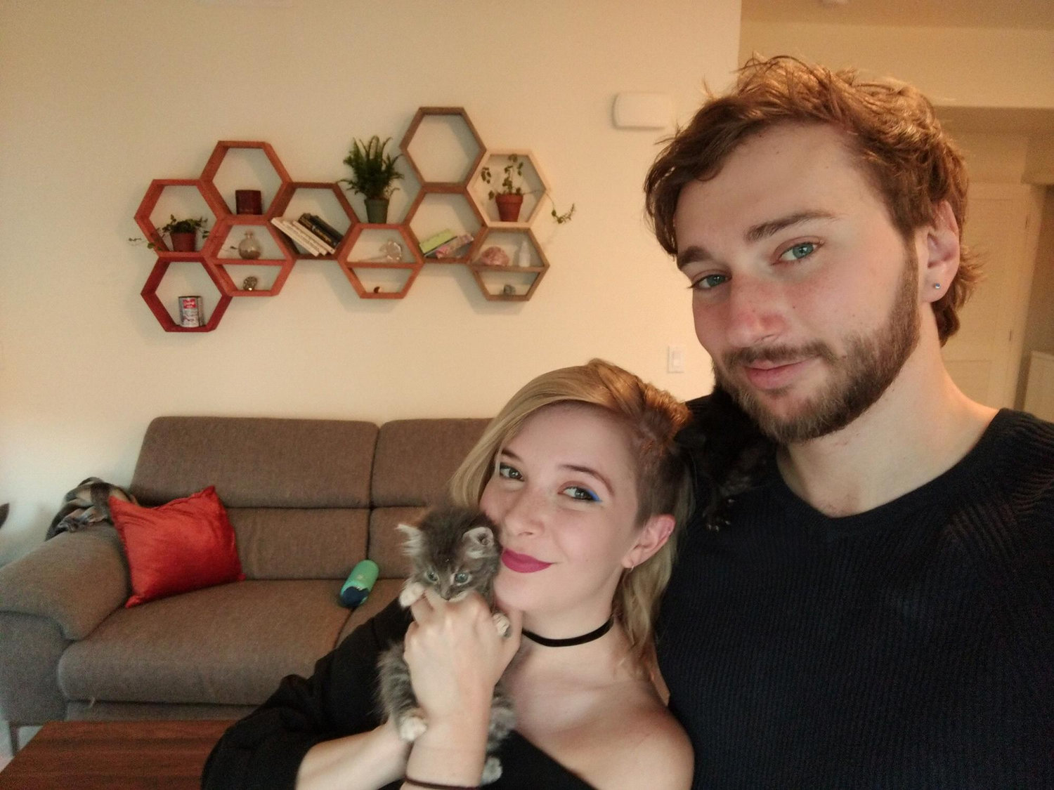 Fostering kittens together!