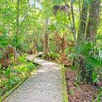 Brevard County Enchanted Forest Sanctuary