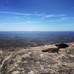 Elm Ridge Wild Forest Nature Walk