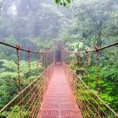 Hanging Bridges Tour