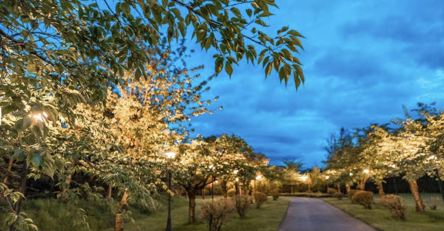The Wedding Website of Monisha Gopal and Austin Johnson