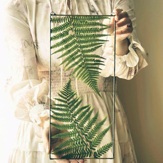Dried fern in large stained glass frame, pressed flower art, botanical wall decor