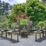 Smith-Gilbert Gardens