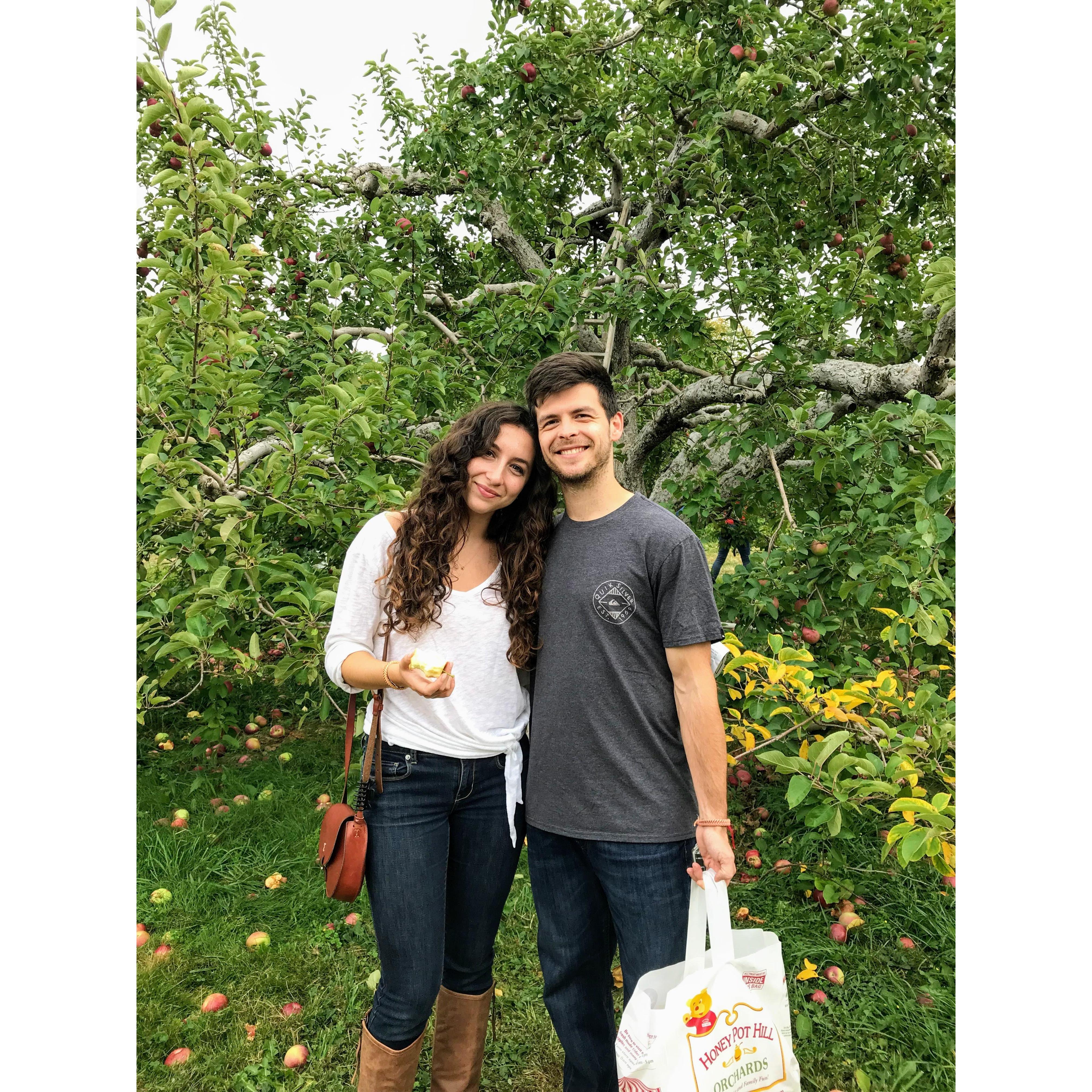 September 2017: Apple picking!