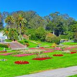 San Francisco Botanical Garden