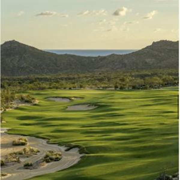 Honeymoon Golf