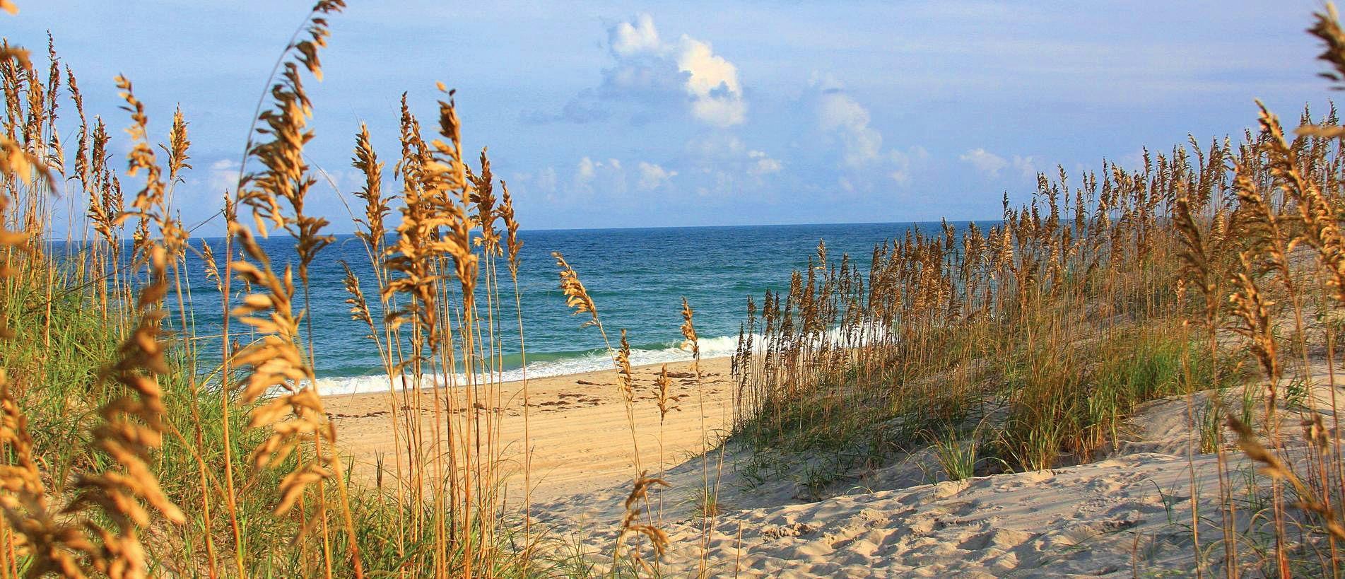 The Wedding Website of Bailey Mizell and Jacob El-Khoury