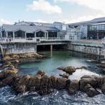 Monterey Bay Aquarium