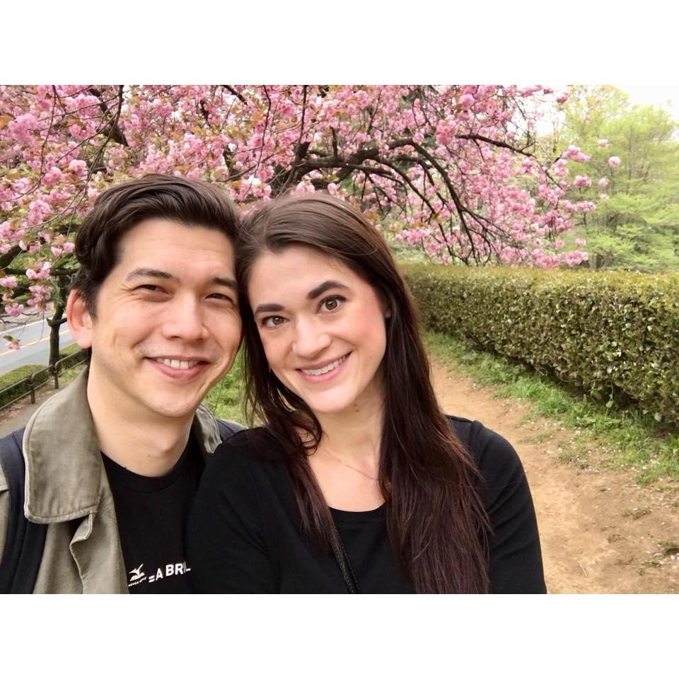 Cherry blossoms in Japan