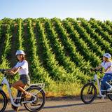 Temecula Wine Country E-Bikes