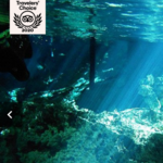 Dos Ojos Cenotes