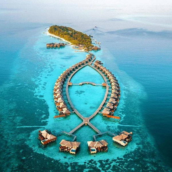 Honeymoon Fund
