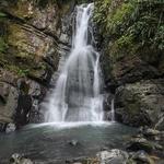 Excursión al Bosque Nacional El Yunque desde San Juan