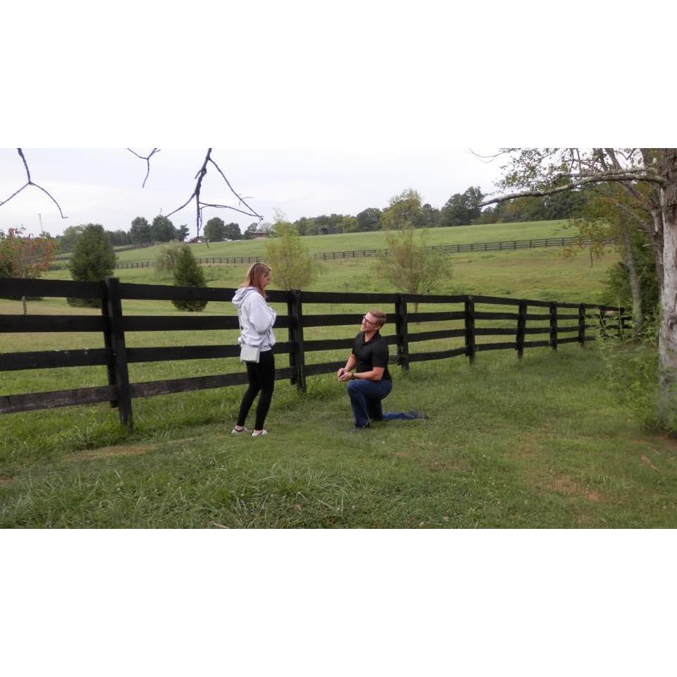 The Proposal
