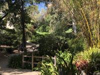 UCLA Mildred E. Mathias Botanical Garden