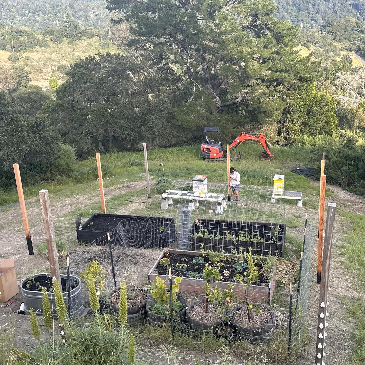 My last photo, thanks for coming on this trip down memory lane! Nate has been working hard to give me as much garden space as possible as we are trying to grow the flowers for the wedding! April 2026