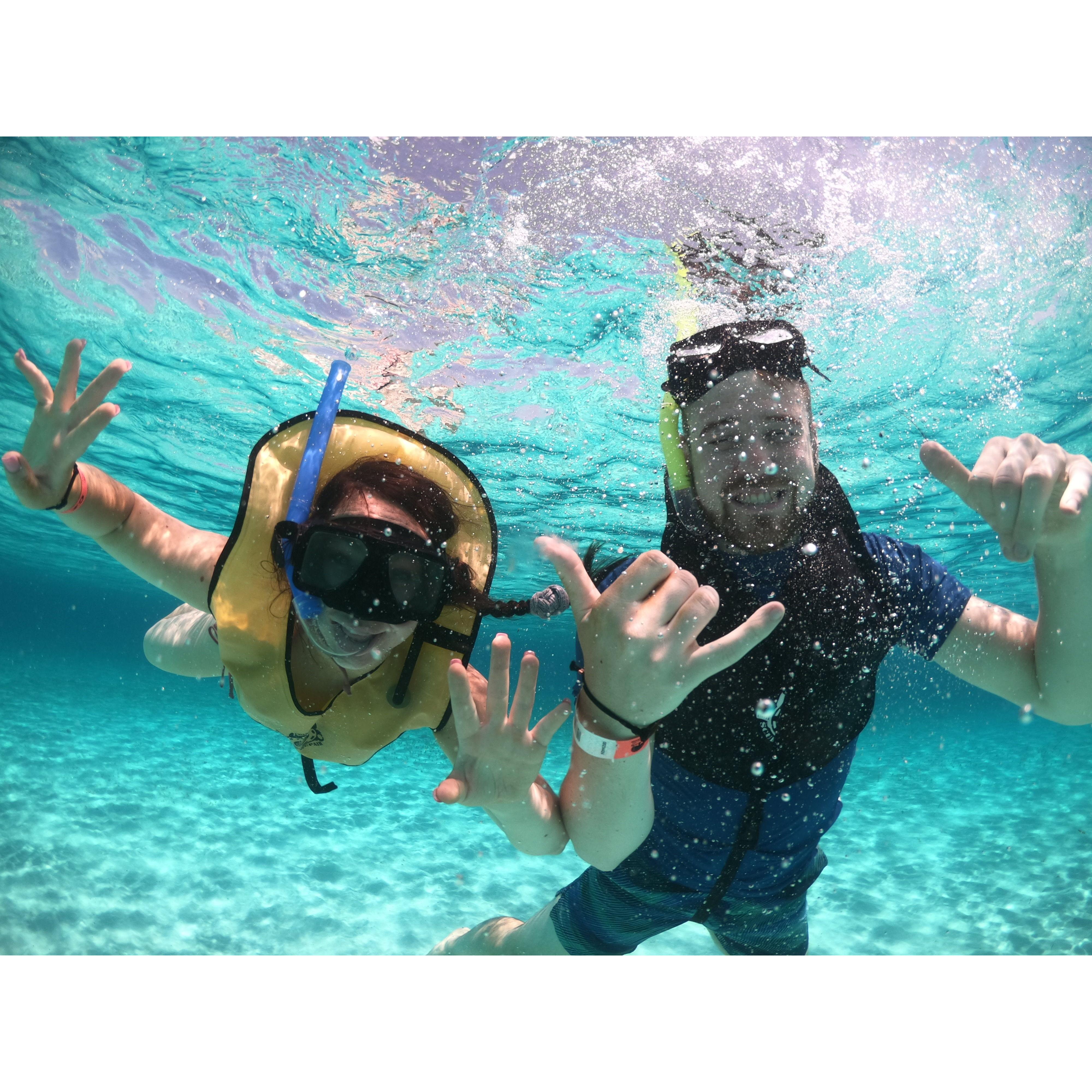 Snorkeling in Playa del Carmen (July 2021)
