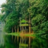 Parambikulam Tiger Reserve