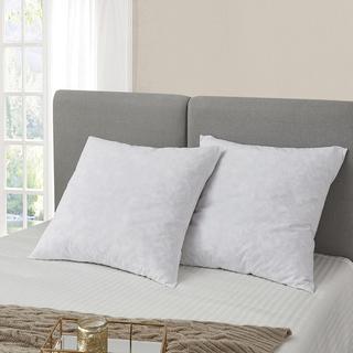 Feather Euro Square Pillow, Set of 2
