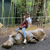 San Diego Zoo