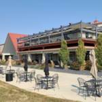 Daniel's Vineyard