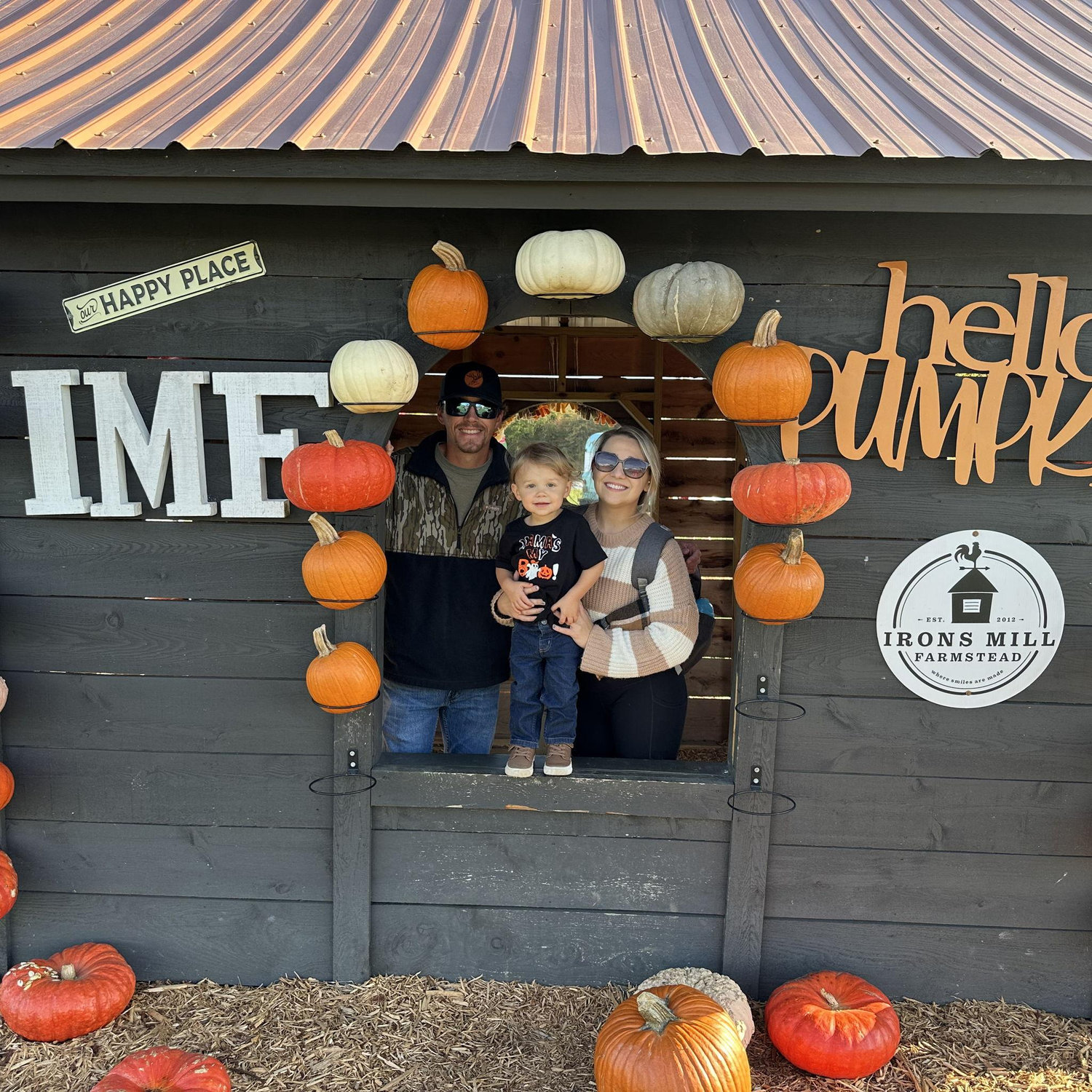 Pumpkin Patch 2025