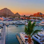 The Marina in Cabo
