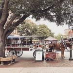City Market