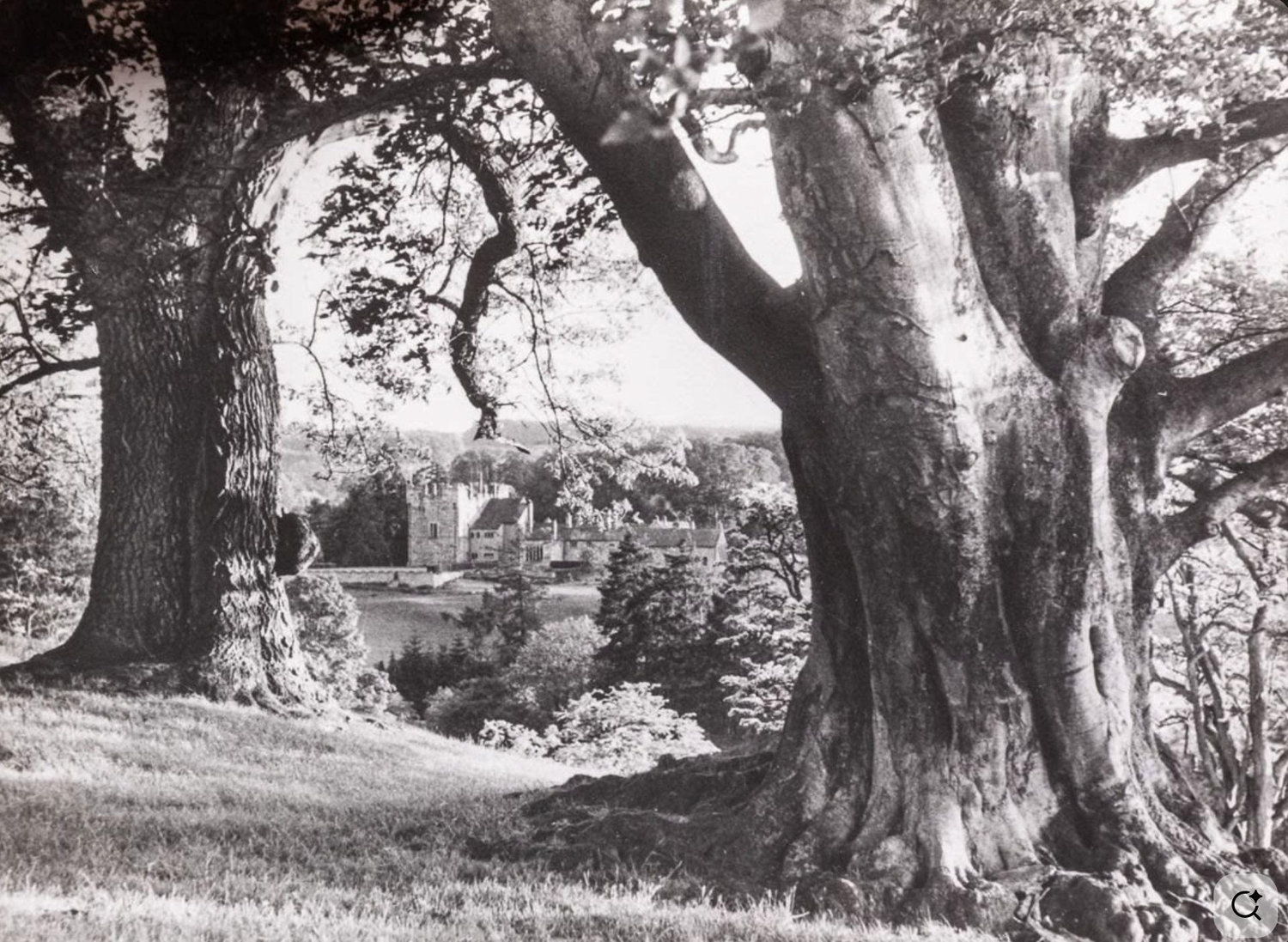 The Wedding Website of Rory Cameron and Mollie Cutler