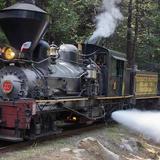 Yosemite Mountain Sugar Pine Railroad