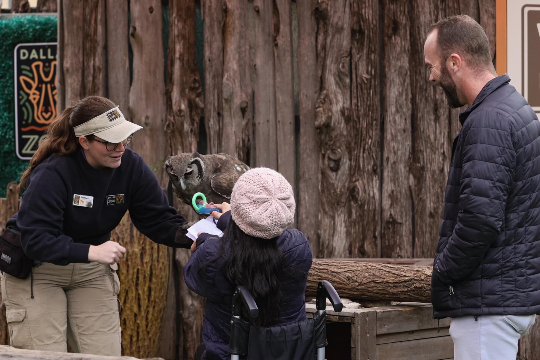 They asked for adult volunteers to practice a trick with their owl who was "in training." And Amy unknowingly volunteered right into David and the Zoo team's plans.