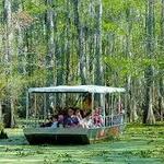 Swamp Tours New Orleans
