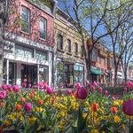 Pearl Street Mall