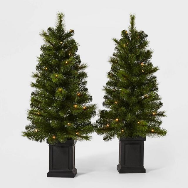 2ct/3.5ft Pre-lit Artificial Christmas Tree Potted Douglas Fir Clear Lights - Wondershop™