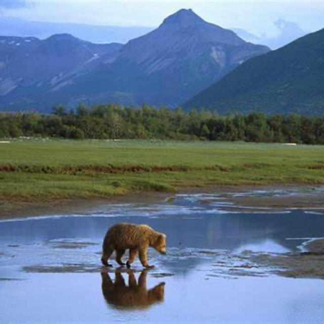 Alaskan excursion
