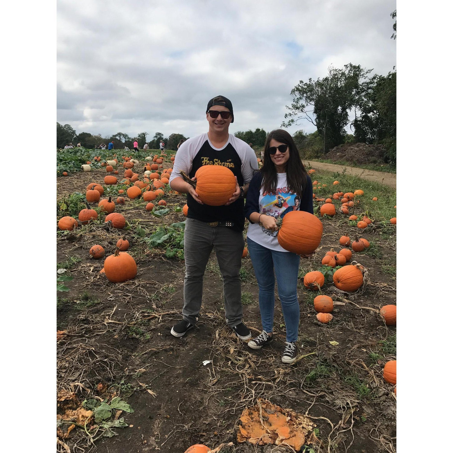 Pumpkin-picking pros!