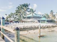 Have best conch at Lazy Days Restaurant 🏝