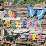 The Butterfly Farm Aruba