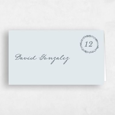 Ice, Blue Wedding Place Card - Violet
