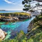 Point Lobos State Natural Reserve