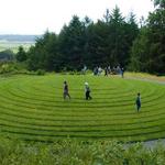 Humboldt Botanical Garden