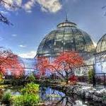 Anna Scripps Whitcomb Conservatory