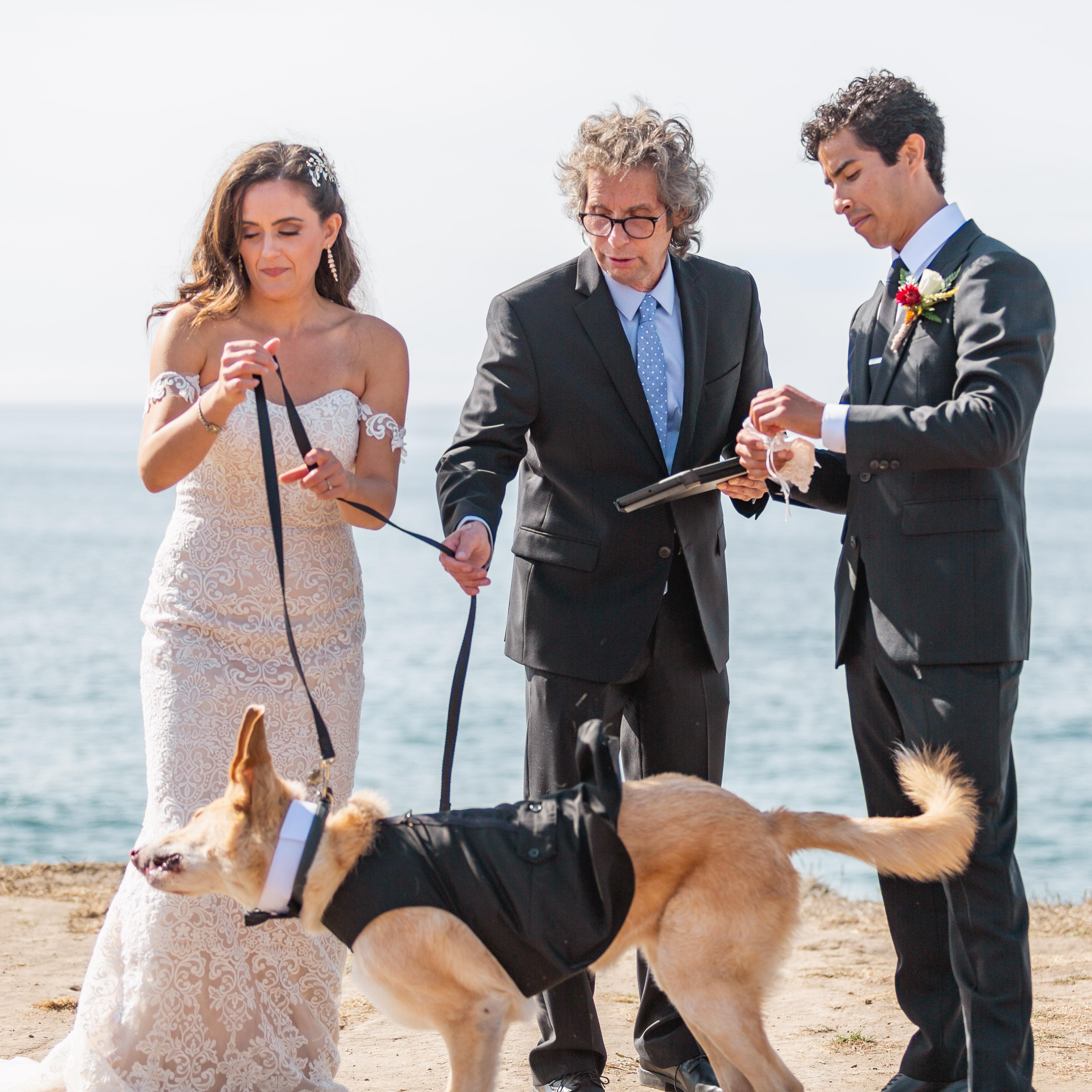 We didn’t let Covid stop us from getting married in 2020! On October 10th we had a small intimate ceremony with our immediate families. It was a beautiful day 😊