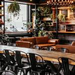 Oddstory Brewing Co: The Greenhouse